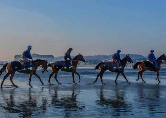 Deauville Fabuleux 2/3 Pieces Refait A Neuf